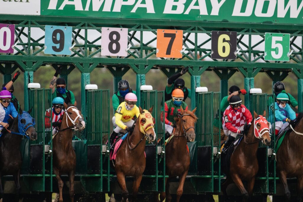 At the starting gate