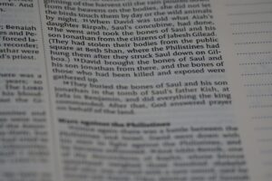 close up, bokeh, macro, blur, blurred background, close focus, bible, old testament, 2 samuel, samuel, book of samuel, gad, nathan, covenant, law, Nevi'im, prophets, Deuteronomistic history, rabbinic literature, shavuot, christian, judaism, history, text, reading, bible study, devotions, text, NIV, New International Version, type, typography, canon, christianity, holy scripture, holy bible, scripture,