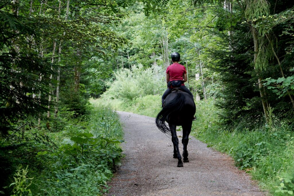 Horseback rider in red t-shirt riding down a woodland lane